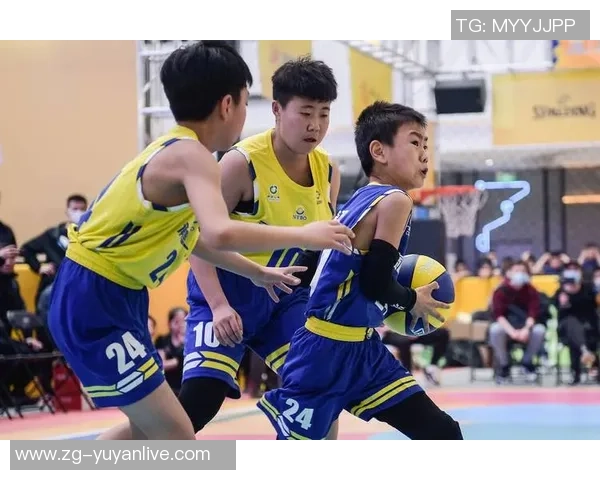 张伟独家篮球心得分享：从基础技巧到实战经验的全面解析与提升之道