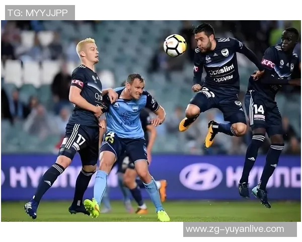 惠灵顿凤凰主场迎战中部海岸球队期待精彩对决与胜利之争