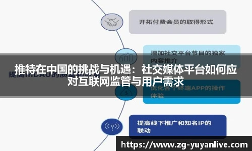 推特在中国的挑战与机遇：社交媒体平台如何应对互联网监管与用户需求