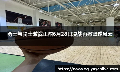 雨燕高清直播