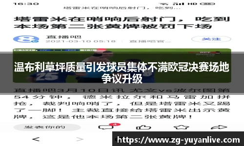 雨燕体育