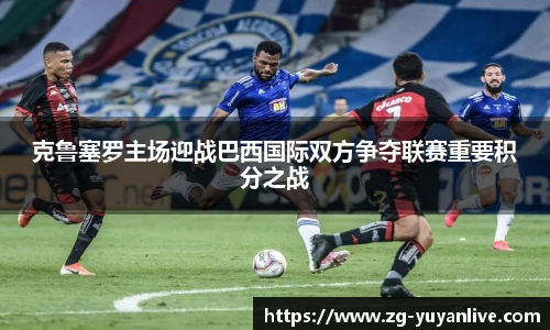雨燕高清直播