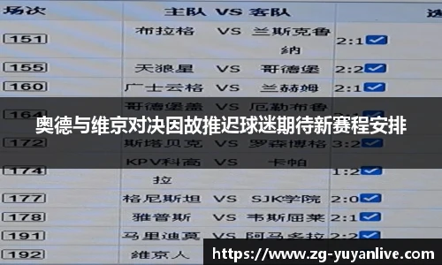 奥德与维京对决因故推迟球迷期待新赛程安排
