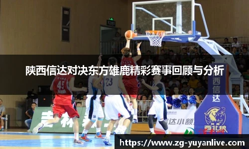 陕西信达对决东方雄鹿精彩赛事回顾与分析