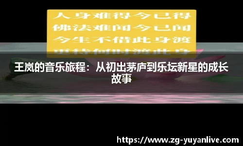 雨燕直播